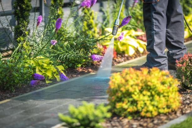 Best Brick and Stone Cleaning in Cumberland, IN