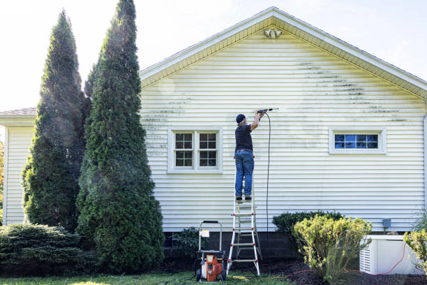 Best Soft Washing for Delicate Surfaces in Cumberland, IN